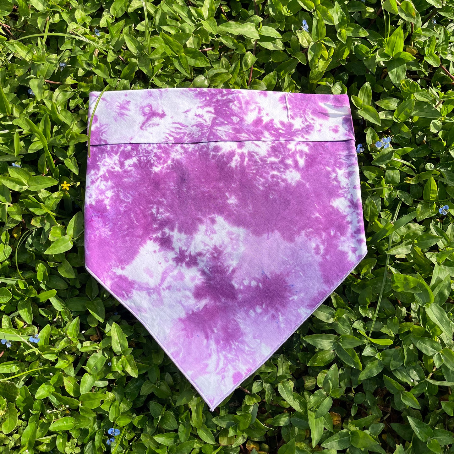 Spring 26 XL
